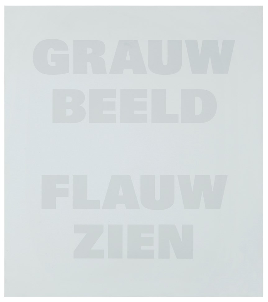 Grauw Beeld Flauw Zien